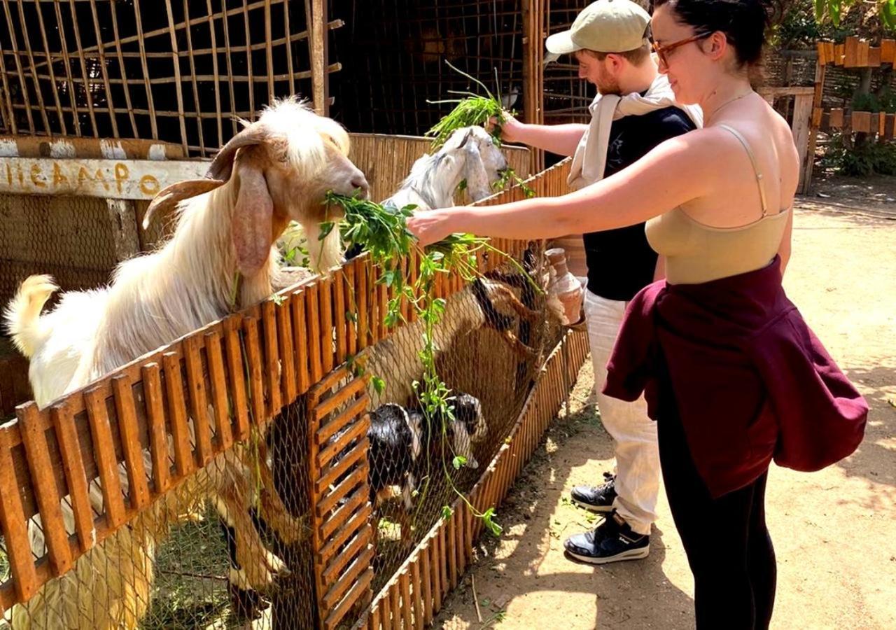 Il Campo Boutique Ecolodge El Hawamdeya ภายนอก รูปภาพ